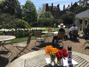 Vic Keegan’s Lost London 71: Chelsea Physic Garden