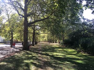 Mark Camley: The coronavirus crisis has shown why we must cherish London’s parks