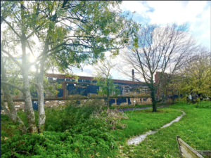 Clare Delmar: Mortlake’s Stag Brewery is a case study of how to do regeneration wrong
