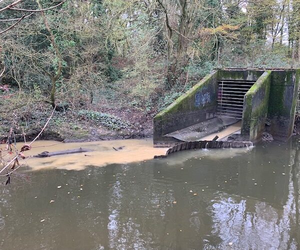 Brent lodge park