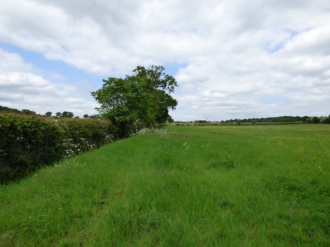 Vicarage farm (1)