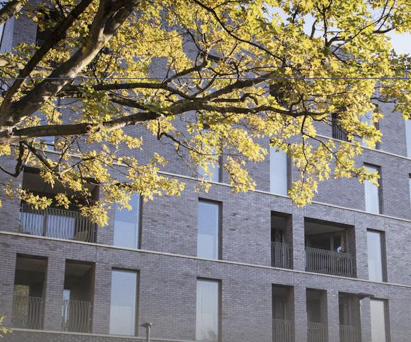 Screenshot 2025 10 20 at 16.21.58