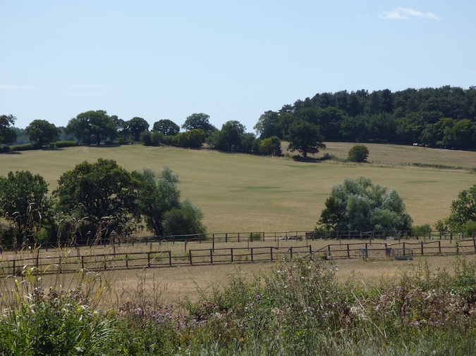 Vicarage farm (1)
